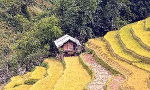 Triển lãm 'Việt Nam 25 năm một đất nước đang thay đổi'
