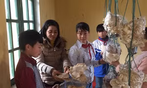 Lào Cai