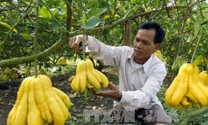 Phát triển bền vững vùng Tây Bắc