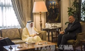 Ai Cập và Saudi Arabia đồng quan điểm về vấn đề Syria 