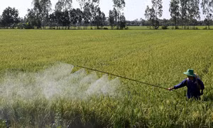 Ô nhiễm đất do hóa chất nông nghiệp