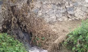 Điện Biên 