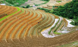 Yên Bái khai mạc Festival dù lượn 'Bay trên mùa nước đổ'
