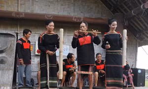 Người giữ hồn nhạc cụ dân tộc