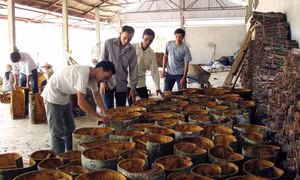Yên Bái