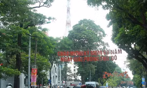 Hà Nội