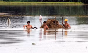 Chủ động ứng phó lũ quét, sạt lở đất