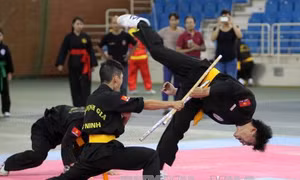 Đưa võ cổ truyền vào chương trình giáo dục phổ thông 