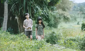 Ra mắt bộ phim “Tôi thấy hoa vàng trên cỏ xanh”