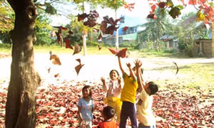 Viết cho chiều cuối xuân