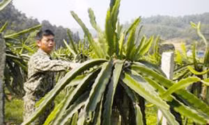Nghĩa tình đồng đội nơi hậu phương