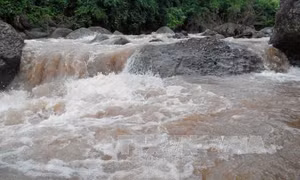Hơn 1,2 vạn khách hàng ở miền Bắc không có điện do mưa lũ 