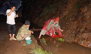 Tháng 3 mùa bắt ếch 