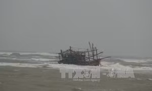 Bà Rịa-Vũng Tàu