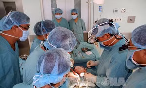  Ghép thành công tế bào gốc từ máu dây rốn cộng đồng 