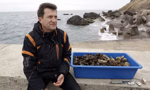 Người Crimea ôm mộng ‘hàu vàng’ Biển Đen