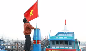 Những 'cột mốc sống' kiên cường trên biển