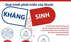 Quá trình phát triển của thuốc kháng sinh
