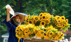 Bắc -Trung - Nam duy trì nắng ráo 
