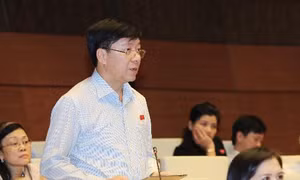 Đại biểu và cử tri mong chờ ở các Tư lệnh ngành 