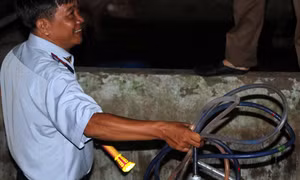 Vấn nạn bơm nước, sử dụng chất cấm trong chăn nuôi