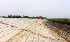 Hoàn thiện phương án ứng phó bão mạnh, siêu bão 
