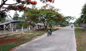 Sức sống mới nơi phum, sóc 