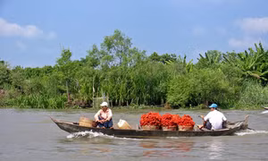 Ba lĩnh vực đột phá ở đồng bằng Sông Cửu Long