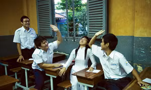 Xin lỗi cô!