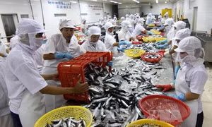 7 tháng, xuất khẩu nông, thủy sản giảm mạnh 
