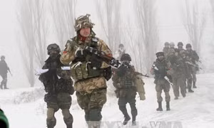 Ukraine cân nhắc lập lữ đoàn chung với Ba Lan, Litva 
