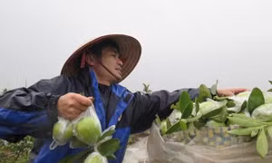Sóc Trăng