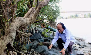 Trồng trọt thích ứng với biến đổi khí hậu 