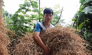 Bị tật nguyền vẫn đạt điểm thi khối B cao nhất cả nước