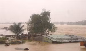 Mùa lụt quê tôi
