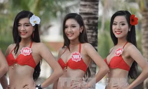 Quảng Ninh