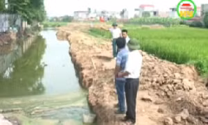 Hưng Yên