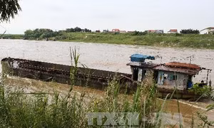 Hà Nội: Bắt giữ 2 tàu khai thác cát trái phép