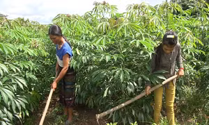 Quảng Trị