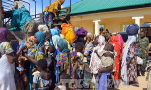 Nigeria giải cứu gần 60 con tin bị Boko Haram giam giữ 