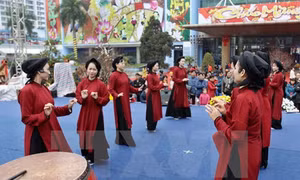 Giới thiệu Xoan cổ tới các chuyên gia quốc tế