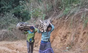Tìm nguyên nhân xuất khẩu lao động ở các huyện nghèo đạt thấp 
