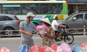 TP Hồ Chí Minh