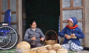 Hỗ trợ toàn diện cho nạn nhân bom mìn