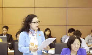 Quốc hội thảo luận tổ hai dự án Luật 