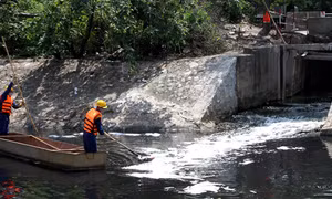 Quy trách nhiệm người đứng đầu