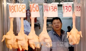 Chủ động phòng chống cúm A(H7N9) xâm nhập vào Việt Nam 