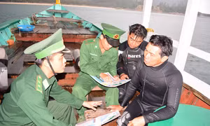 Quảng Nam