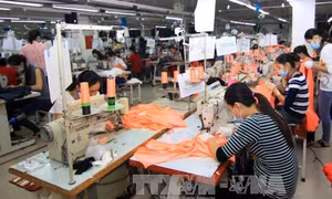 Năm 2015, xuất khẩu lao động sẽ sáng hơn