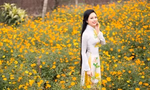 Bộ sưu tập Xuân Tứ Quý